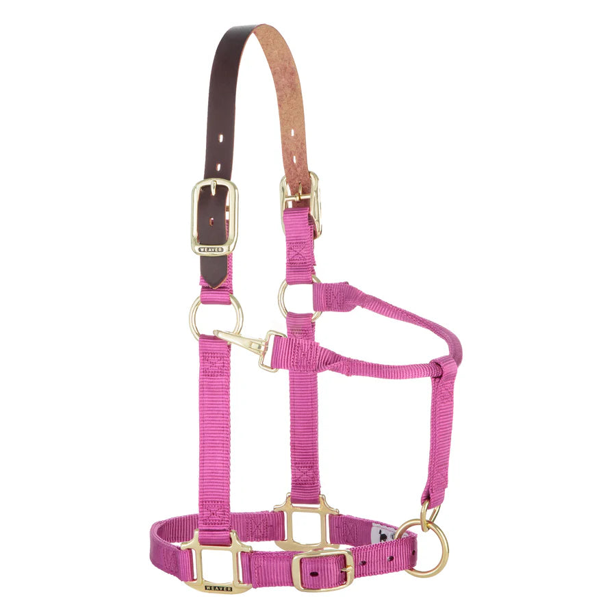 Adjustable Horse Halter With Snap Weaver Breakaway Horse Halter With Comfort Foam Padding - Adjustable Average Size, Purple Vs Regular Adjustable Horse Halter With Snap Weaver Breakaway Horse Halter With Comfort Foam Padding - Adjustable Average Size, Purple Vs Regular