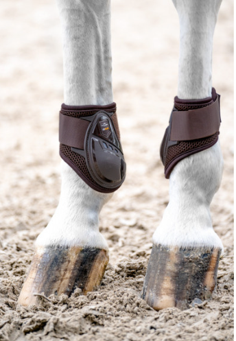 Champion boots 2025