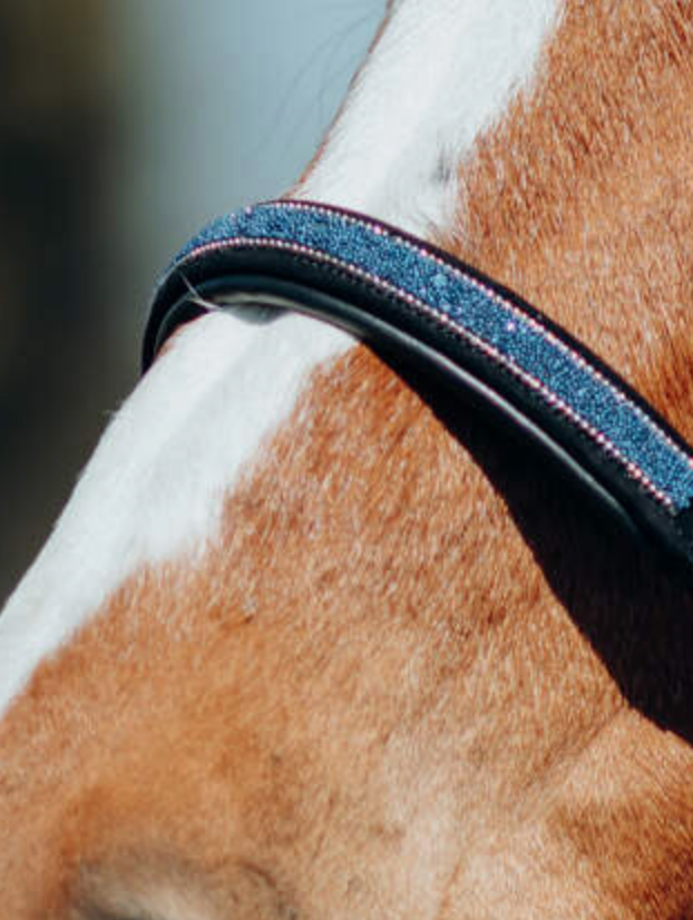 Horze Leather Halter with Crystal Nose Band (W)