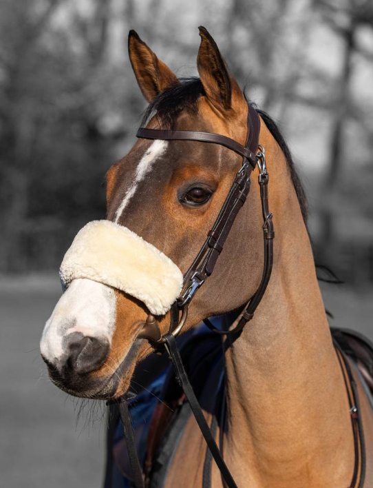 LeMieux Merino+ Protège-Nez Pour Cheval – Pure Laine Mérinos, Double Fixation Velcro, Protection Douce Et Discrète
