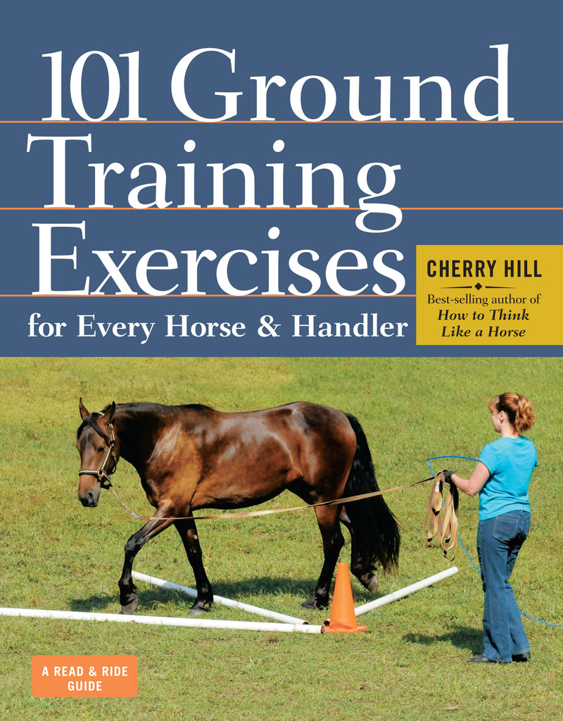 101 Exercises - Books