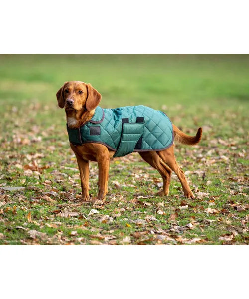 Shires Digby & Fox Quilted Dog Coat