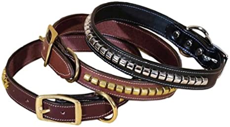 Tory hotsell dog collar