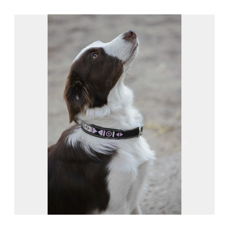 Penelope Leather Pearl Dog Collar