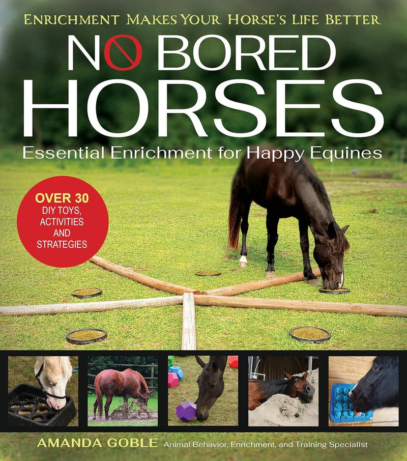 Kelley and Company - No Bored Horses