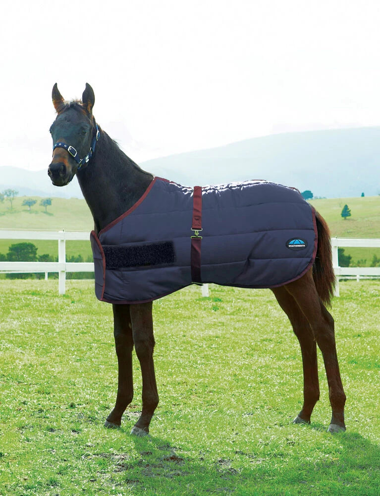 Weaterbeeta 420D Foal Standard Neck Medium