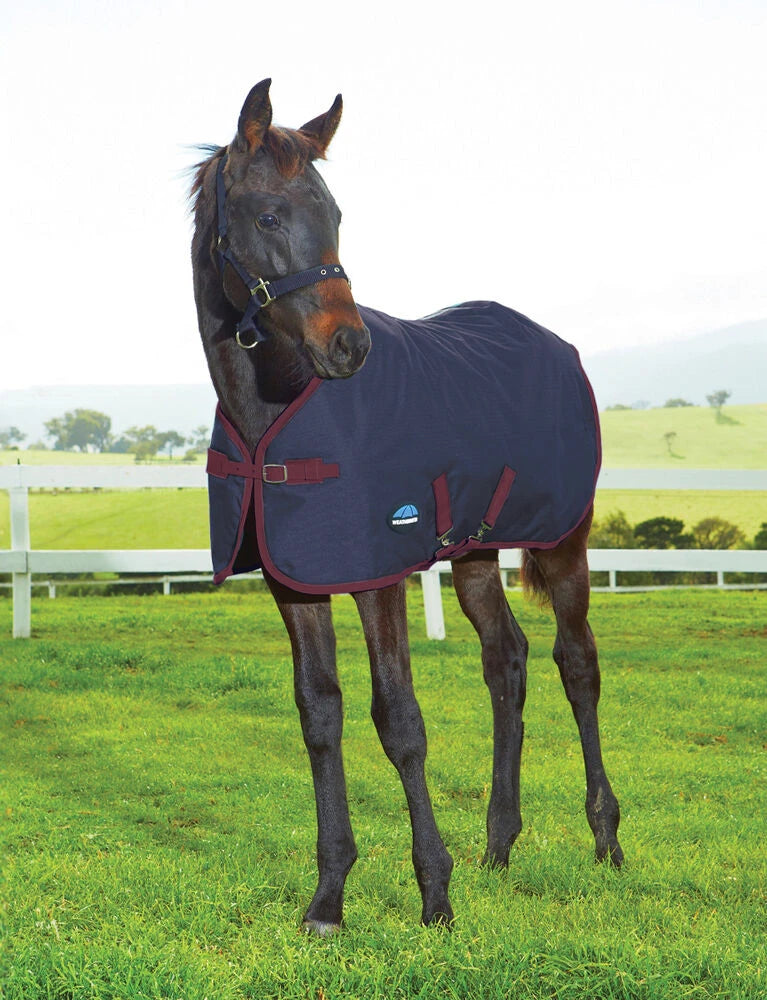 Weatherbeeta 1200D Foal Turnout Standard Neck