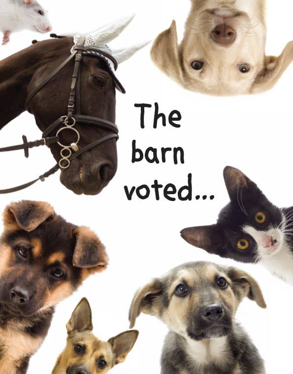Horse Hollow Press - Horse Birthday Card: The Barn Voted