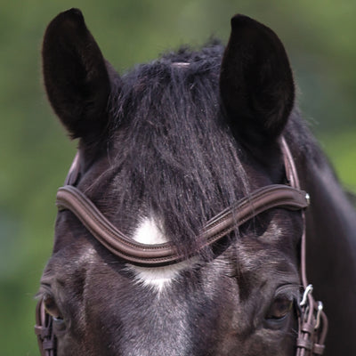 Kavalkade Leather Curved Browband