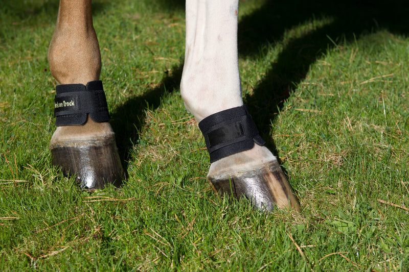 Back on Track Pastern/Fetlock Bands