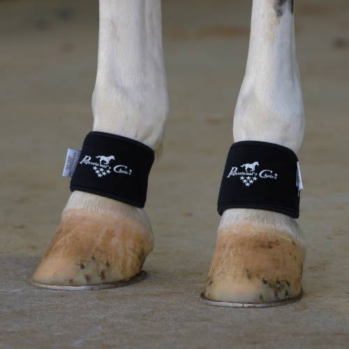 Professionals Choice 2XCool Pastern Wrap