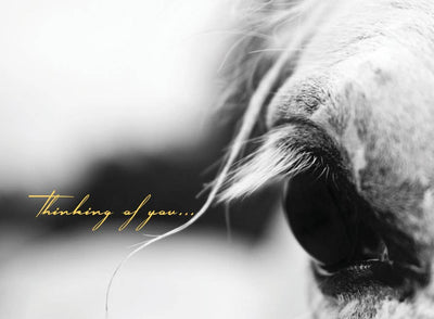 Horse Hollow Press - Horse Sympathy Card: Thinking of you...