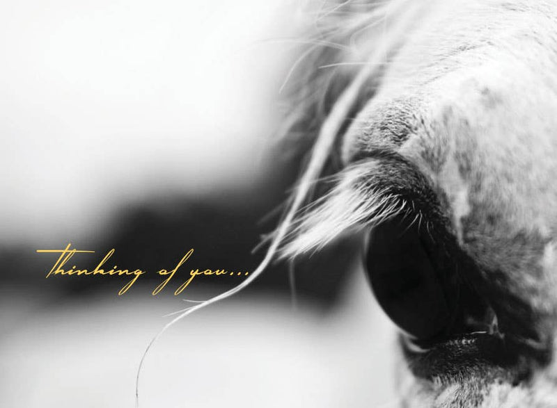 Horse Hollow Press - Horse Sympathy Card: Thinking of you...