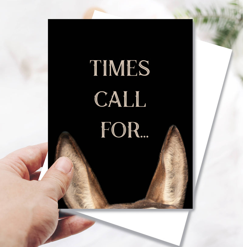 Horse Hollow Press - Horse Birthday Card: Times Call for.... Donkey Card