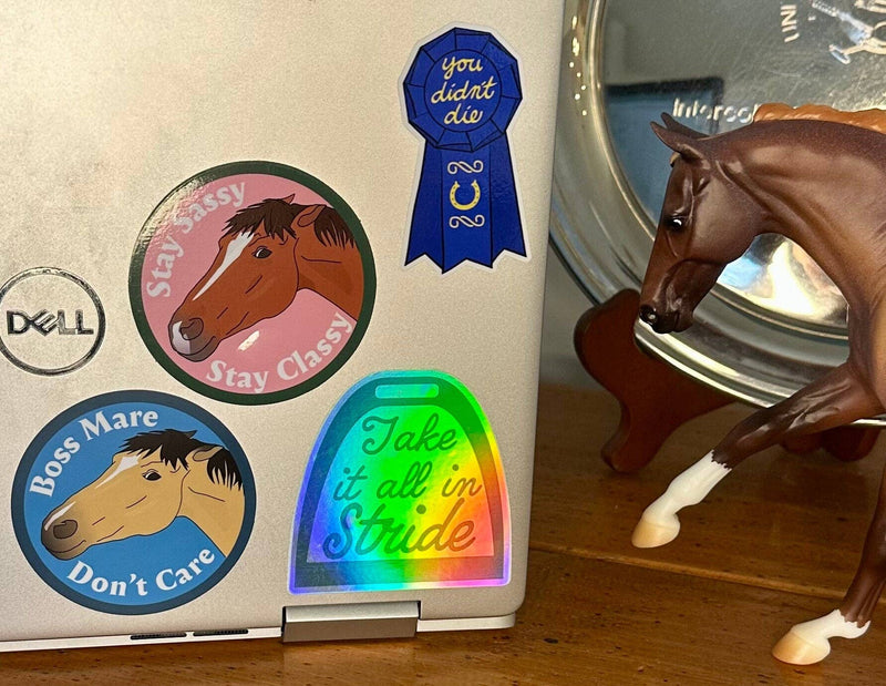 High Point Equestrian Equipment - Take It All In Stride Sticker