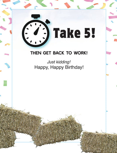 Horse Hollow Press - Horse Birthday Card: NEW To the Best Horse Husband EVER!