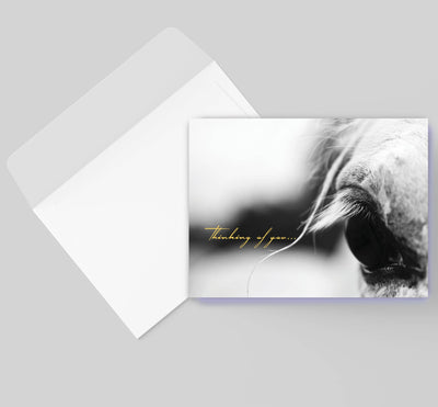 Horse Hollow Press - Horse Sympathy Card: Thinking of you...