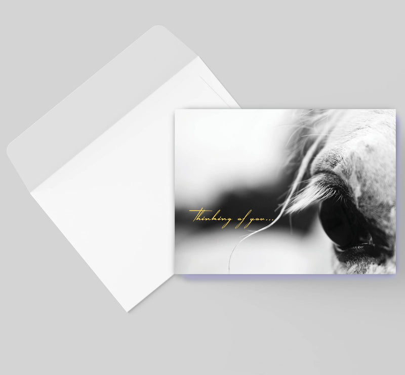 Horse Hollow Press - Horse Sympathy Card: Thinking of you...