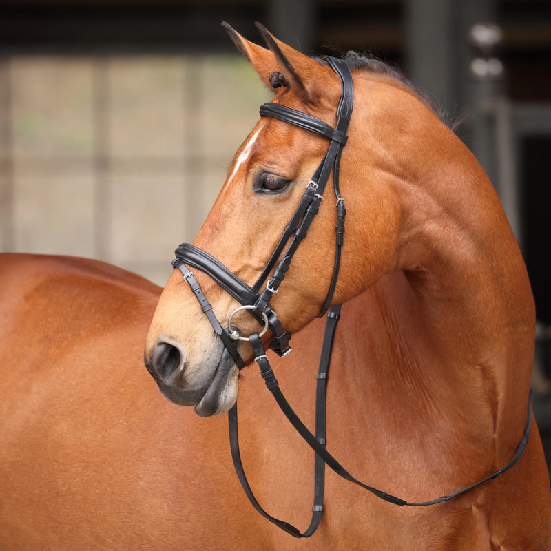 Shires Avignon Aspen Bridle Black