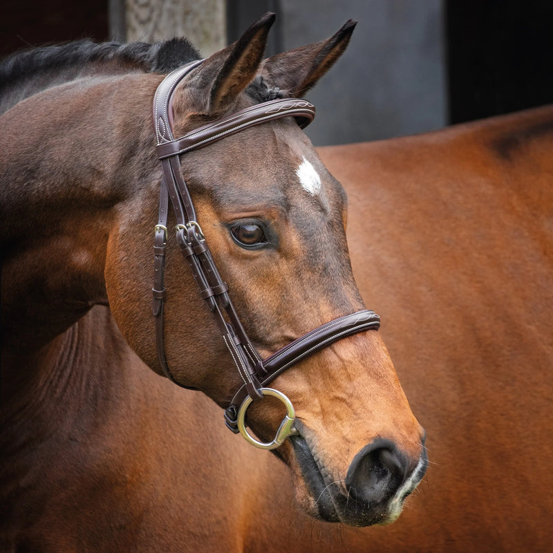 Velociti Pro Series Lusso Hunter Bridle