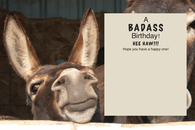 Horse Hollow Press - Horse Birthday Card: Times Call for.... Donkey Card