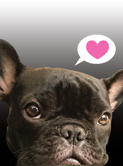 Horse Hollow Press - Frenchie Bull Dog Funny Birthday Card: <heart>