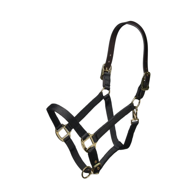 Shires Nylon Halter with Leather Crown