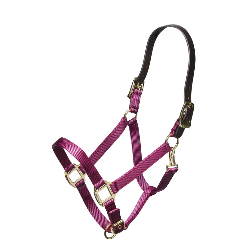 Shires Nylon Halter with Leather Crown