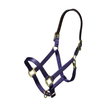 Shires Nylon Halter with Leather Crown