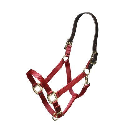 Shires Nylon Halter with Leather Crown