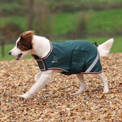 Shires Digby & Fox  Lite Waterproof Dog Coat