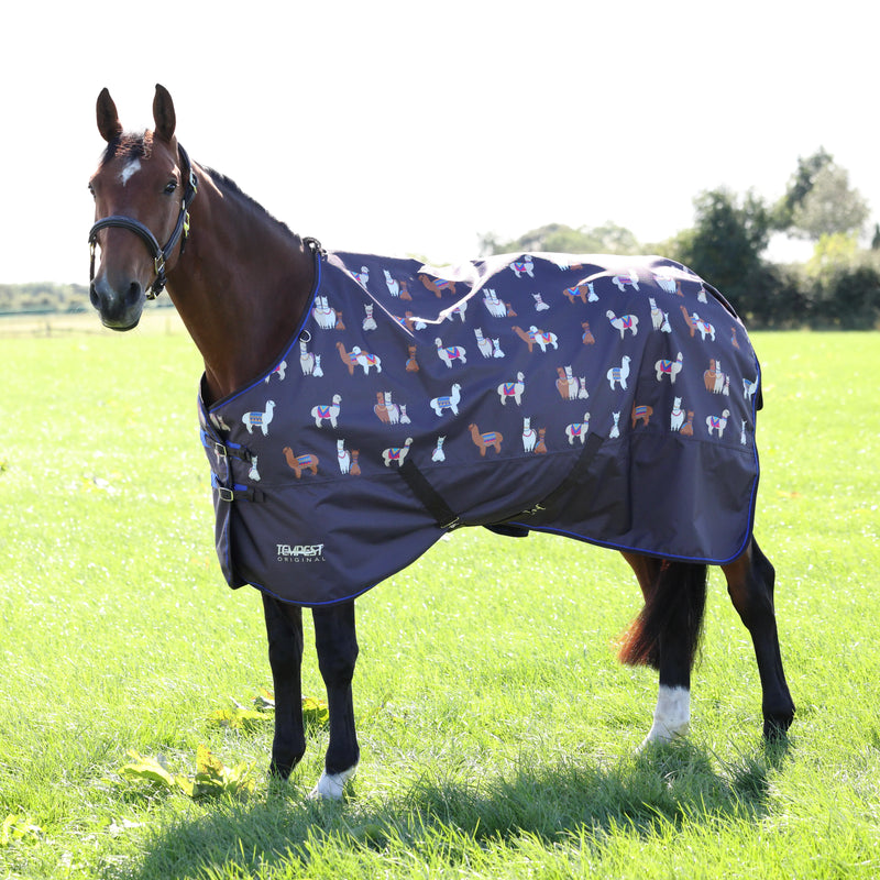 Shires Tempest Original 200 Turnout