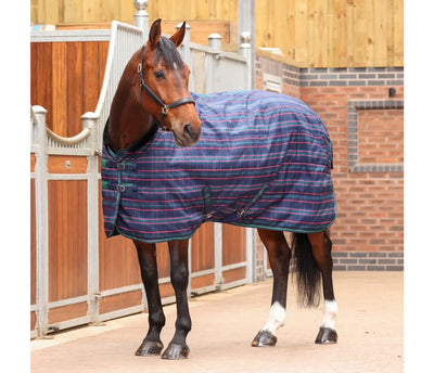 Shires Tempest Plus 100g Stable Blanket