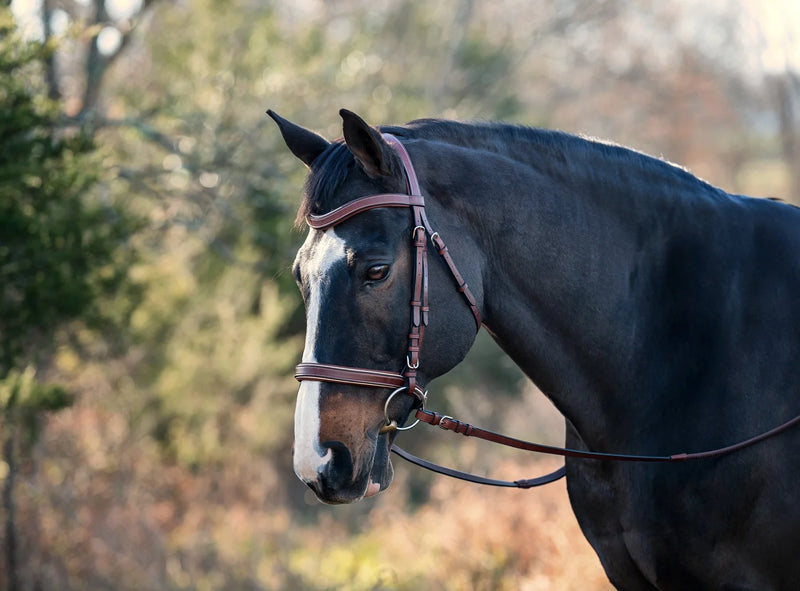 Arc de Triomphe® Classique Anatomical Bridle with Reins