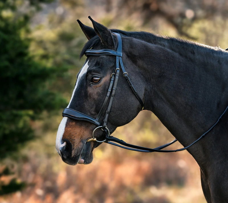 Arc de Triomphe® Leon Anatomical Dressage Bridle w/Calfskin Reins - Crank Noseband