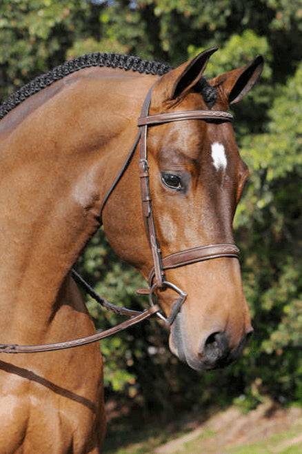 Arc de Triomphe® Tribute Hunter Bridle with Raised Fancy Laced Reins
