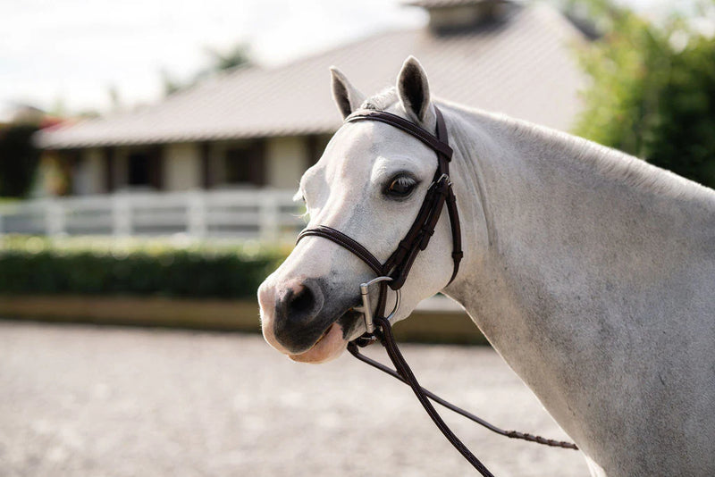 Belle & Bow Farnley Bridle