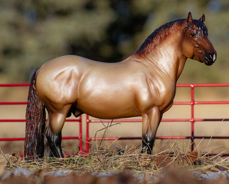 Breyer Theo