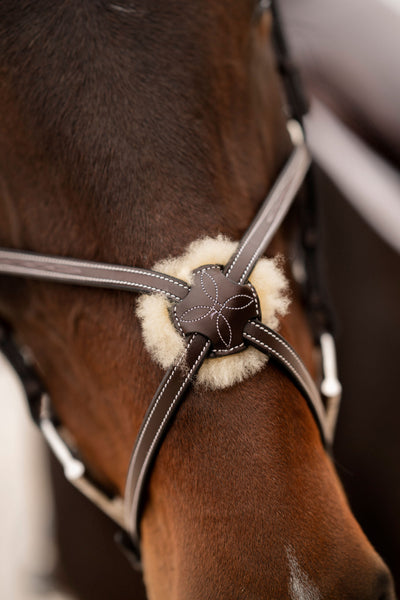Black Oak Cedar Bridle