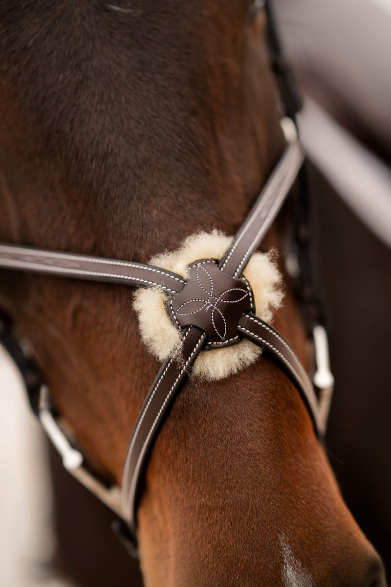 Black Oak Cedar Bridle