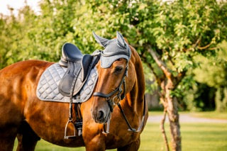Horseware Ireland Newmarket Ear Net