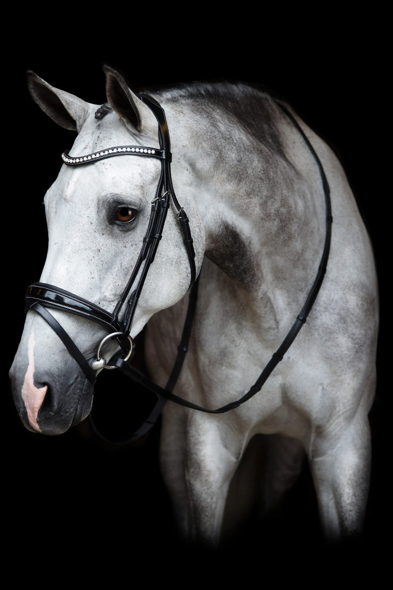 Red Barn Pace Bridle Patent Leather Flash