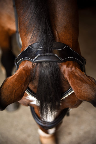 Red Barn Pace Bridle Patent Leather Flash