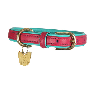 Digby & Fox Padded Leather Dog Collar**