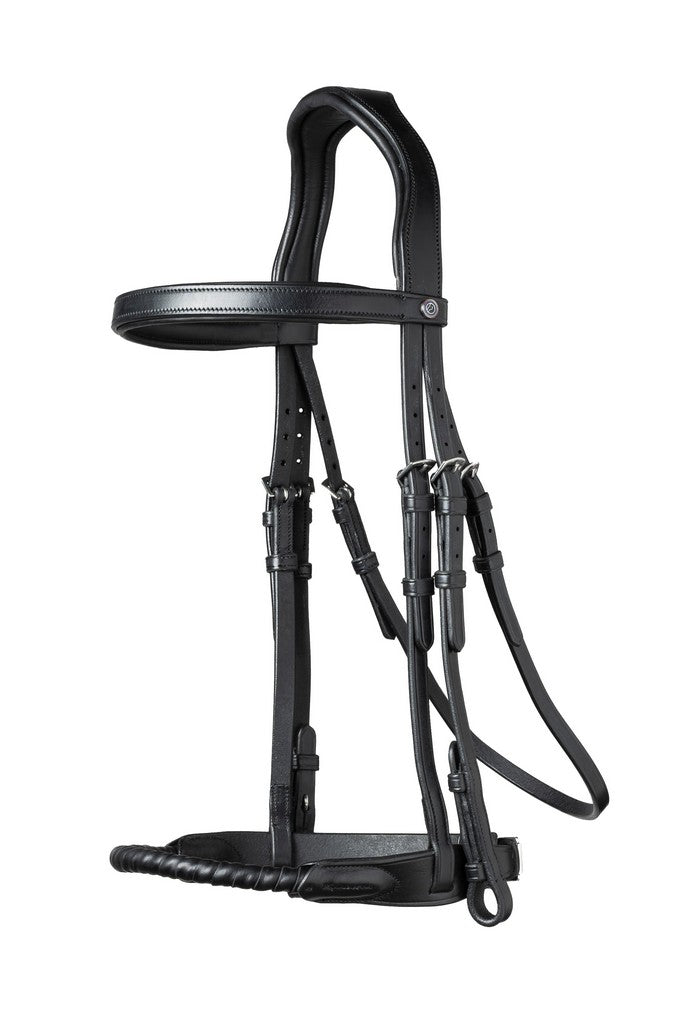 TRUST Dublin Bridle