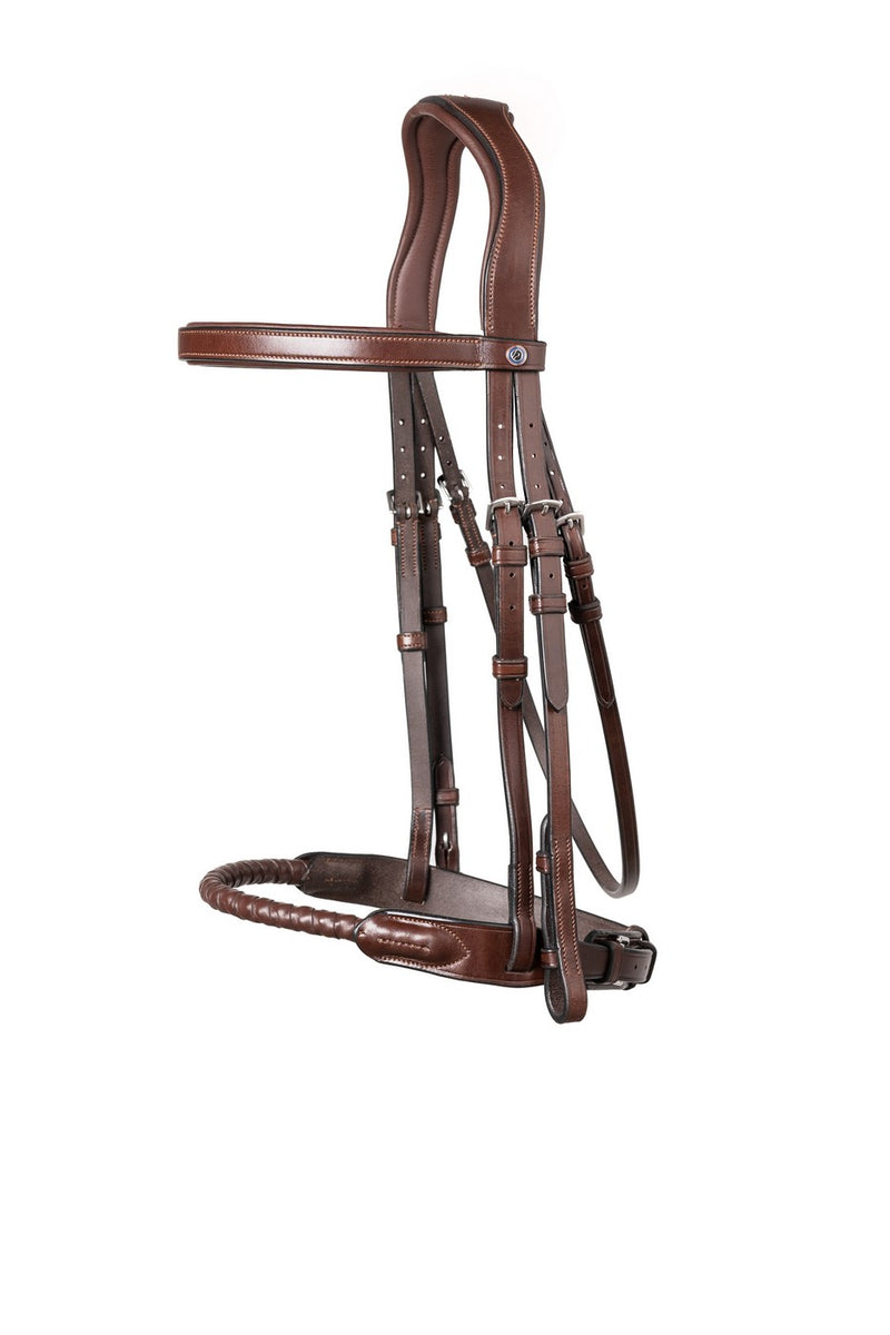 TRUST Dublin Bridle