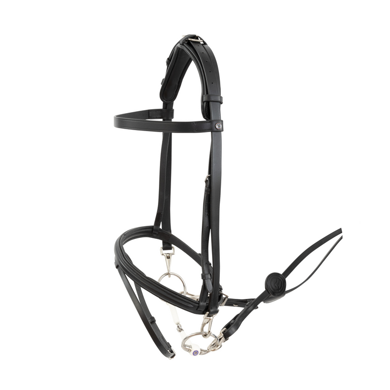TRUST Hamburg Bridle