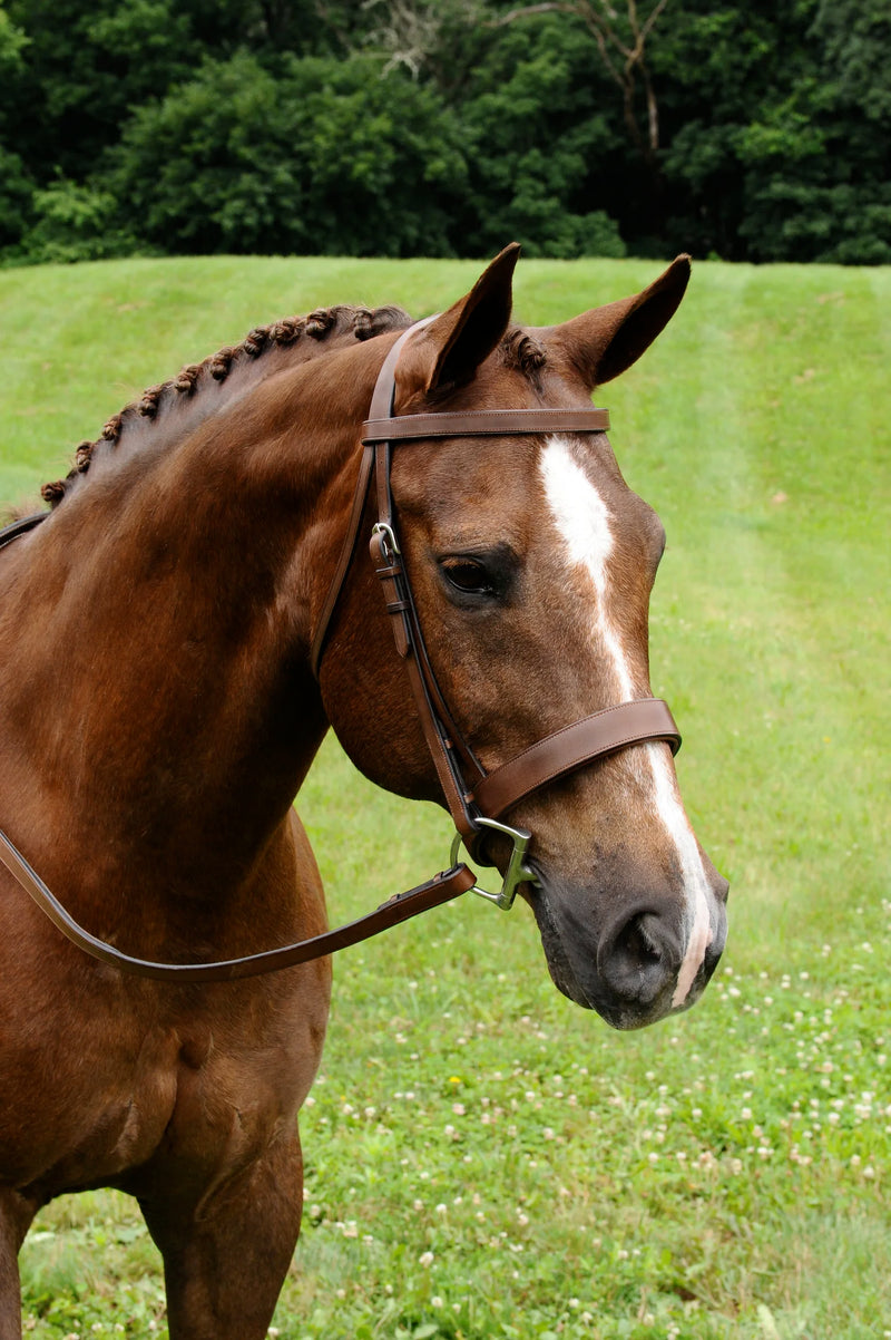 Arc de Triomphe® Foxhunt Bridle w/ Rubber Reins