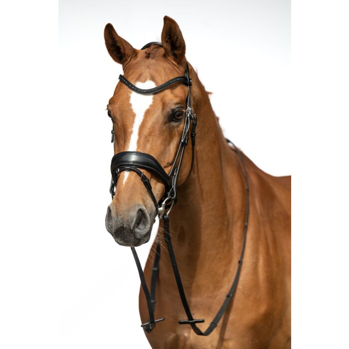 HKM Ira Flash Bridle