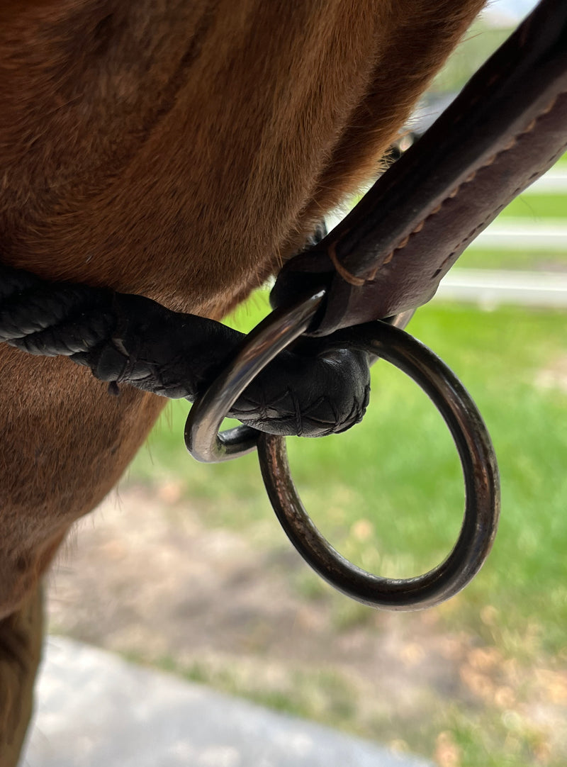 Dziasport Happy Horse Hybrid Halter